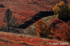 cevennes, automne, 2025,